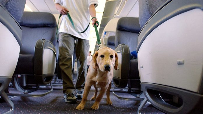 Seat squatting on flight in New Year riles up passengers: 'Couldn't believe' it