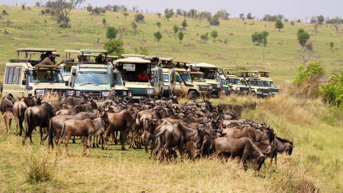 Urgent advisory for safari destination warns of 'terrorist violence' and risk of 'unrest'