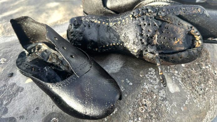 Hundreds of mysterious old shoes wash up on beach during cleanup, baffling officials