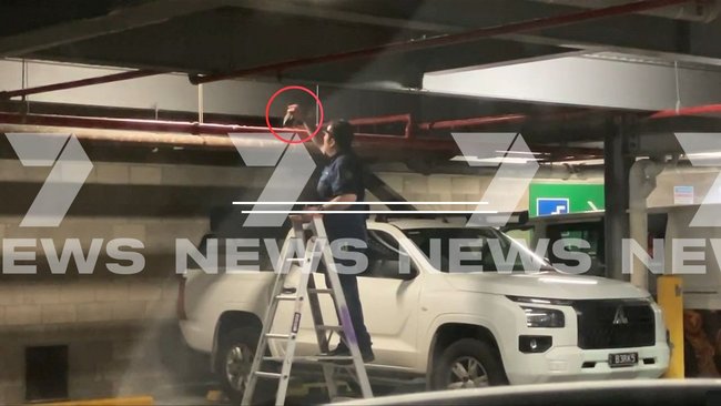 RSPCA investigates death of birds trapped in gel at Brisbane shopping centre car park