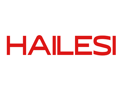 Ultra-Portable Large-Screen Companion for Nintendo Switch Gamers -- HAILESI S135 Portable Monitor | 500 Nits Peak Brightness & Crisp 2