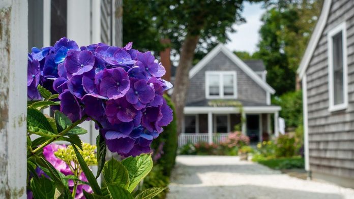 Once-hidden coastal town facing disruption as social media influencers transform local life
