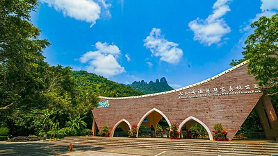 Rainforest summer retreat-- Discover a New Vacation Experience at Qixianling, Baoting, Hainan