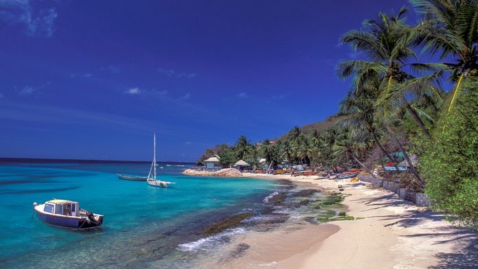 4 killed, 4 wounded in mass shooting near capital of Caribbean luxury tourism destination